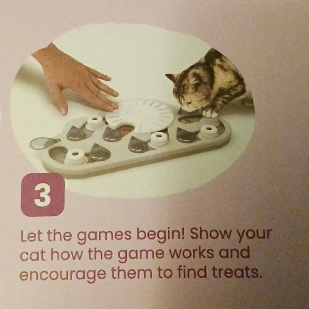 Catstages new box